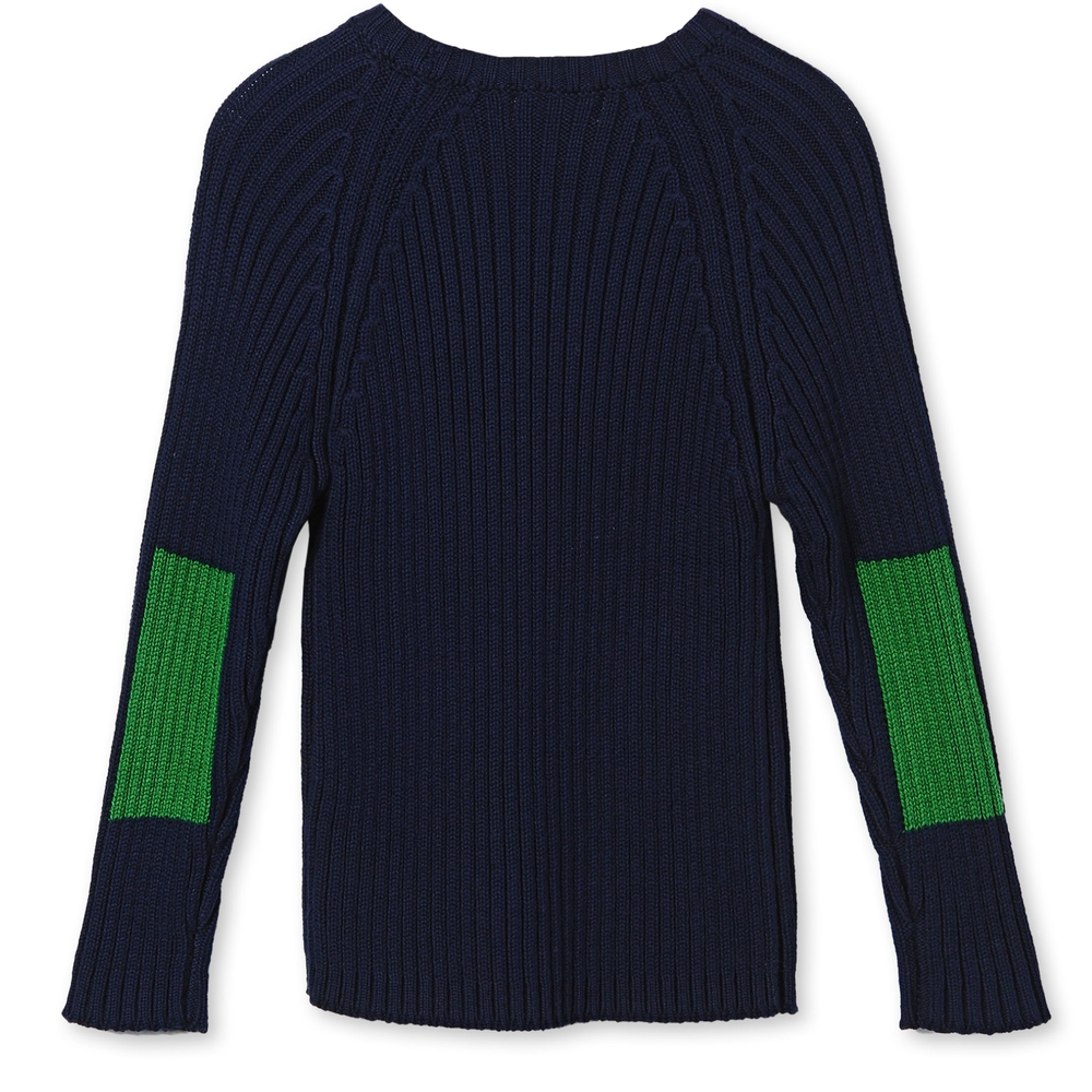Stella McCartney Boys Navy Blue and Green Fitted Sweater Boys Sweaters & Sweatshirts Stella McCartney Kids [Petit_New_York]